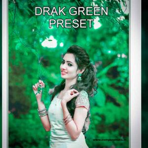 dark green preset dng